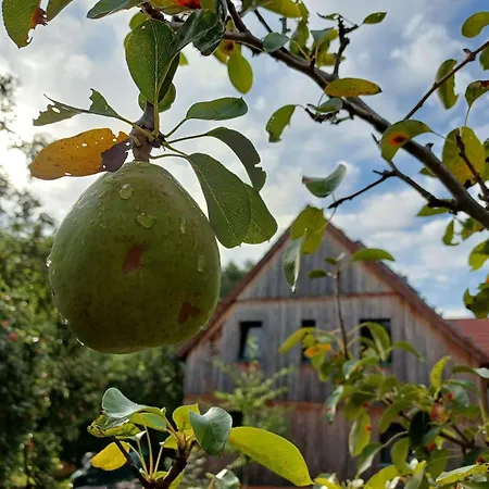 Dein Kraftort Naturferienhaus